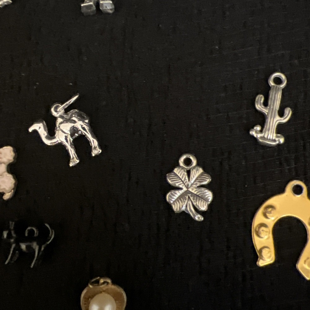 Mixed Charm Lot Jewelry Animals Beach Tropical Paris Fairy Cruise Ship Craft Lot - Picture 16 of 16